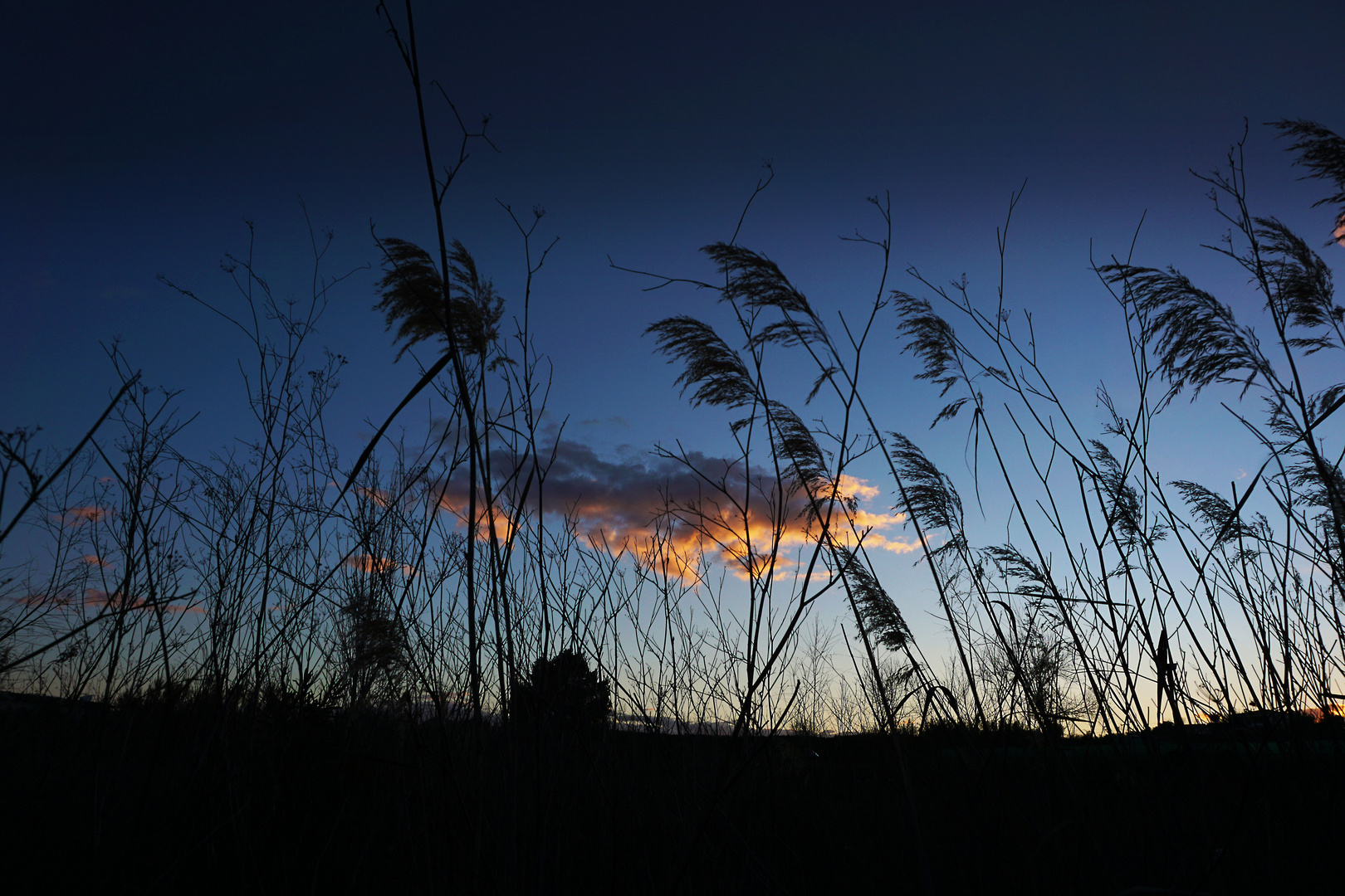 "Sunset with Cloud"