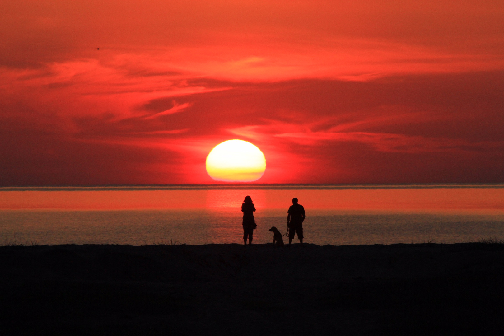 Sunset with dog 