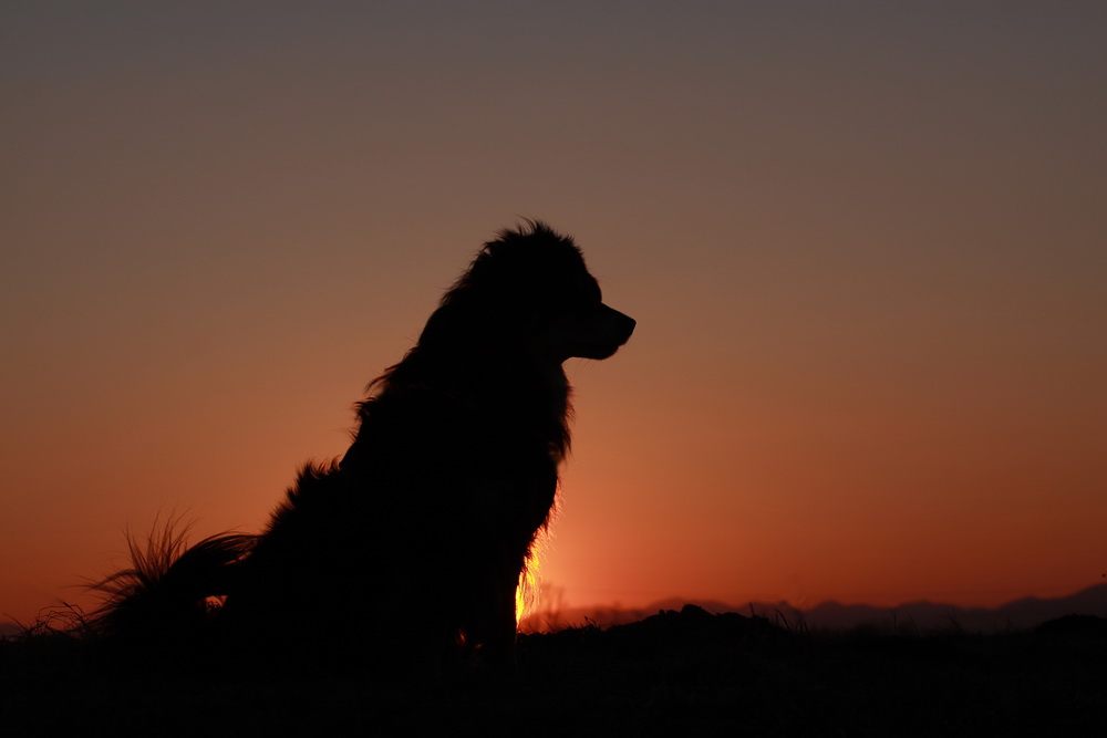 Sunset with Gina