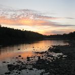 sunset with gull