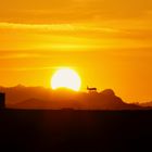 sunset with plane