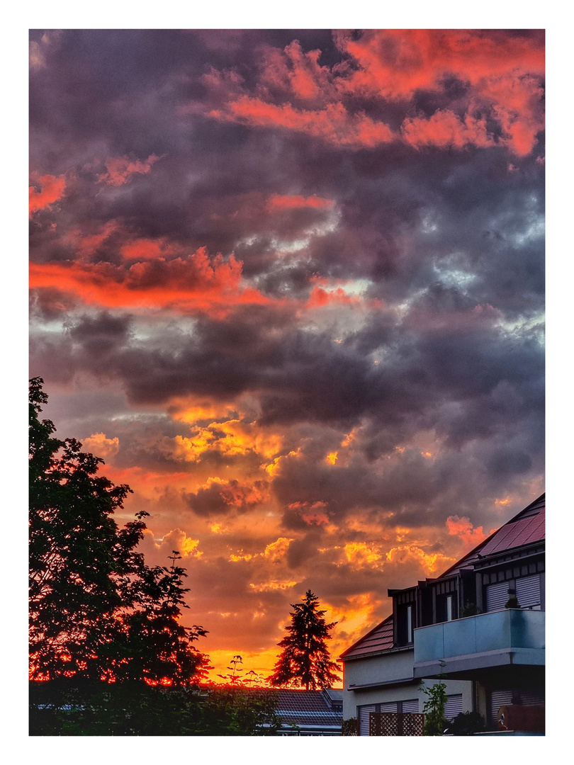 Sunset Wolfsburg