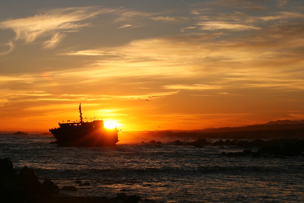 Sunset Wrack Cape Agulhas