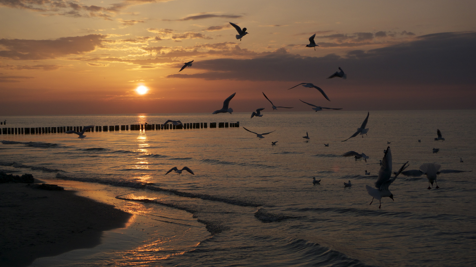 Sunset - Zingst