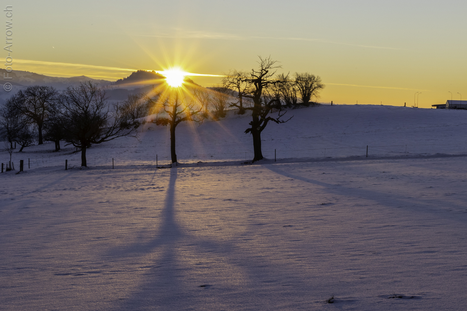 Sunset - zum Thementag Sonntag mit Sonne 16.1.22