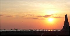 sunset+birds