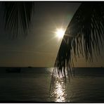 sunsetfeeling - Sansibar