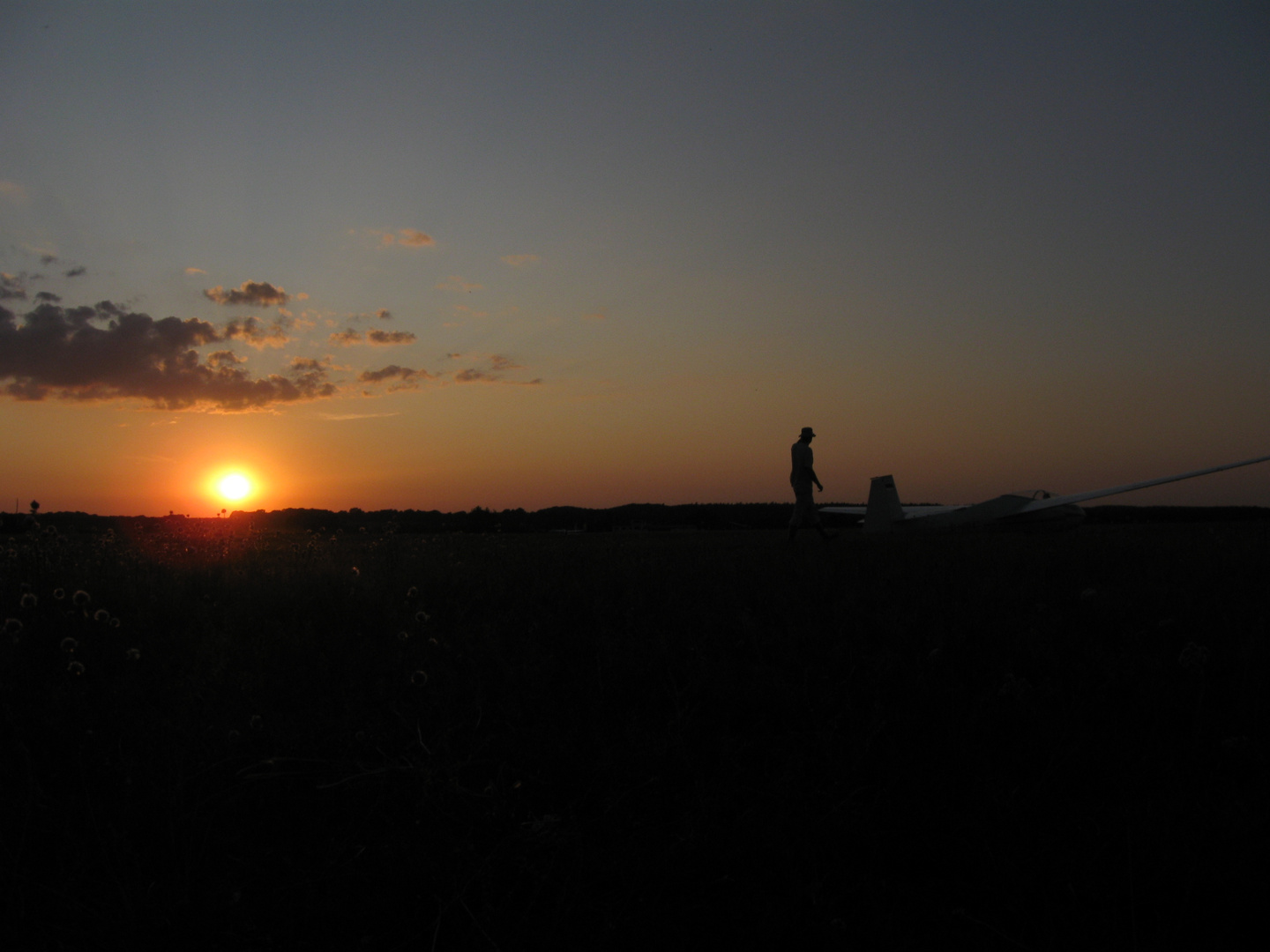 Sunsetfliegen.