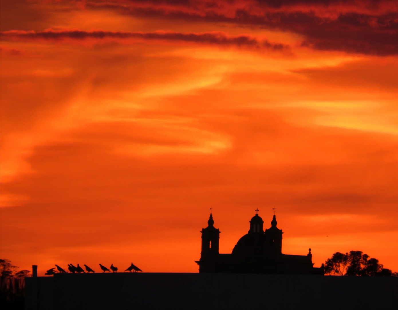 Sunsets and Silhouettes 