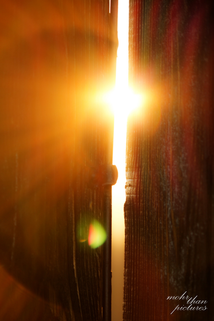 Sunshine between the planks