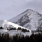 Sunshine in the Alps