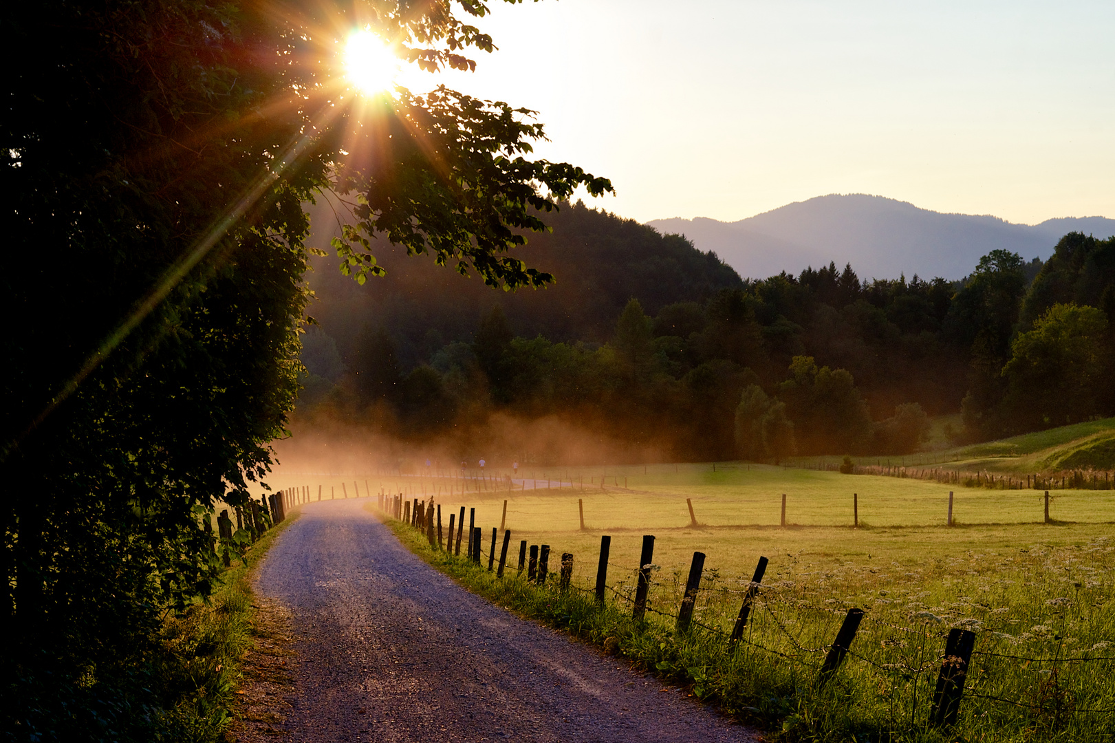 Sunshine landscape in the mountain valley