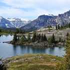 Sunshine Meadow - Alberta Kanada