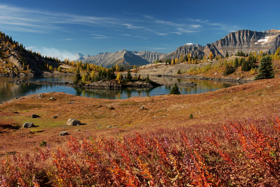 Sunshine Meadows