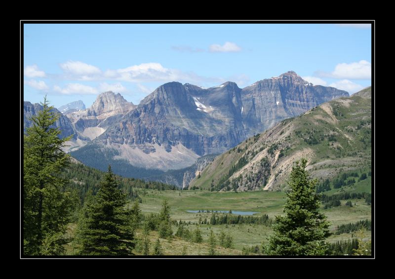 Sunshine Meadows, Banff National Park