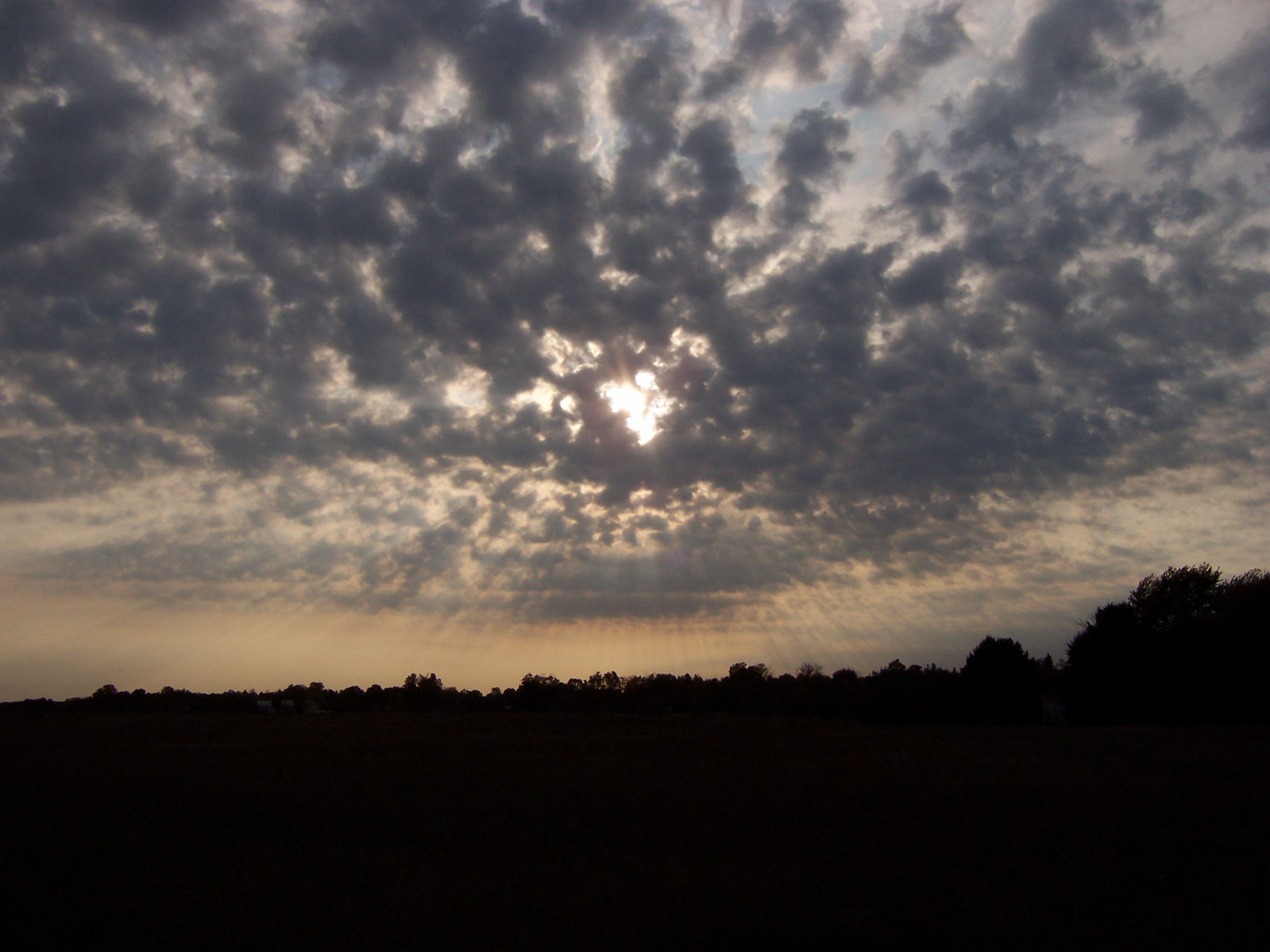 Sunshine Shower