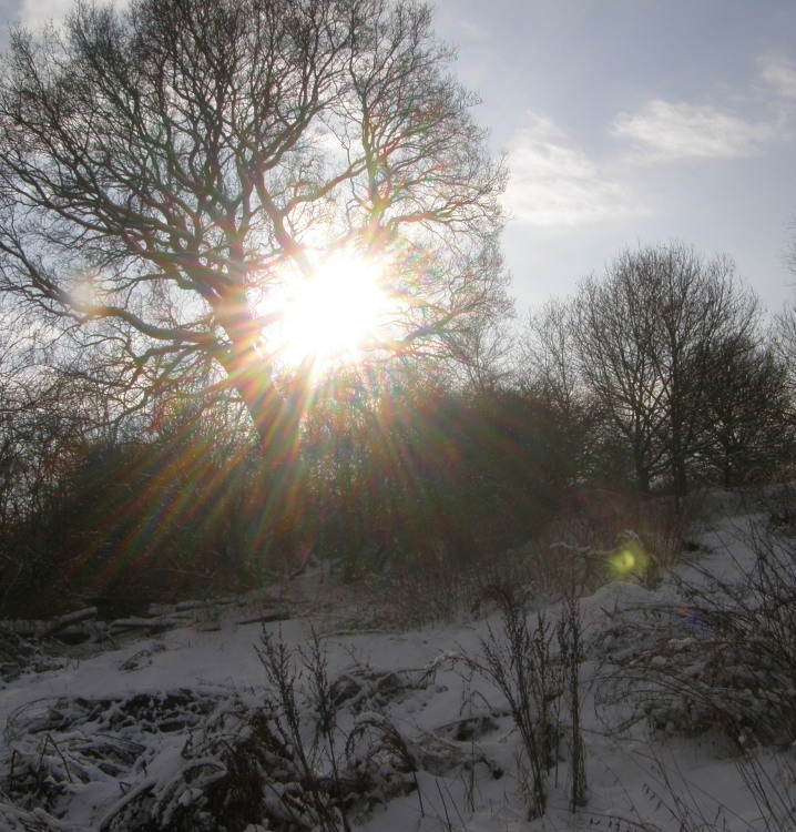 sun&snow 