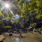 sunstar at japanese garden