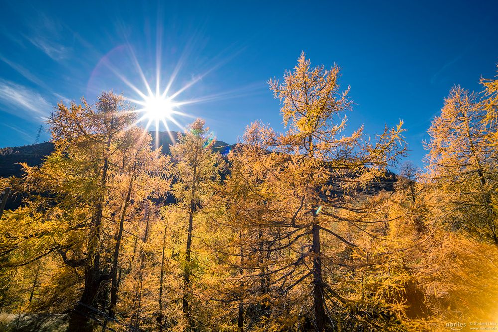 sunstar in the mountains