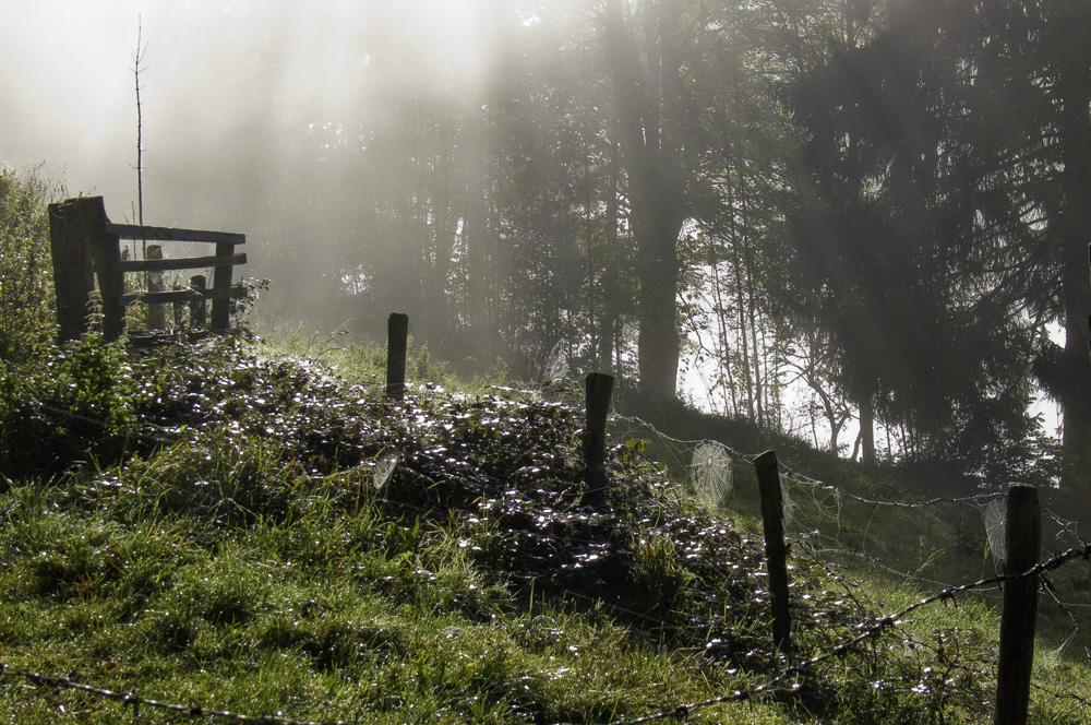 "Suntrat" bei Lenggries