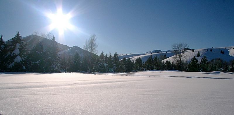 Sunvalley