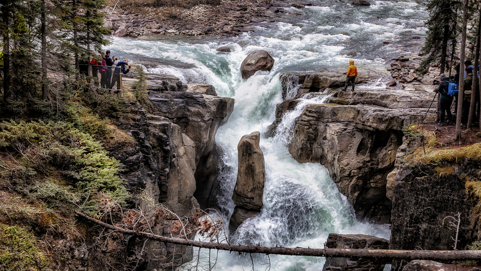 Sunwapta Falls 2