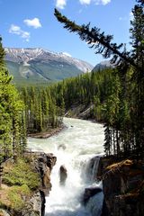 Sunwapta Falls