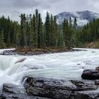 ~ Sunwapta Falls ~