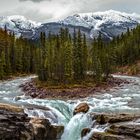 Sunwapta Falls