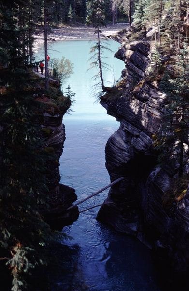 Sunwapta Falls