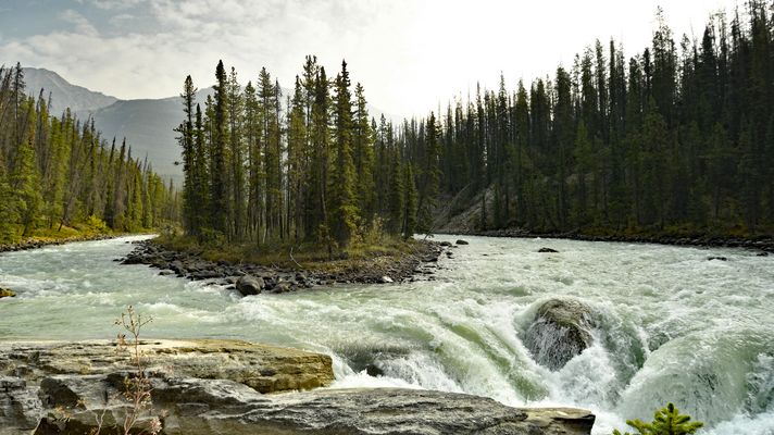 Sunwapta Falls