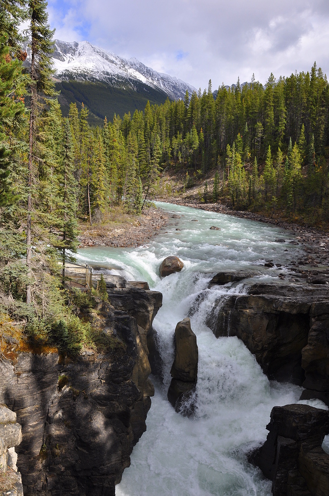 Sunwapta Falls