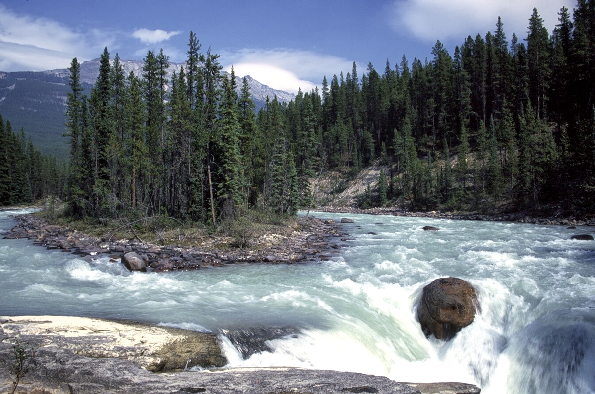 Sunwapta Falls