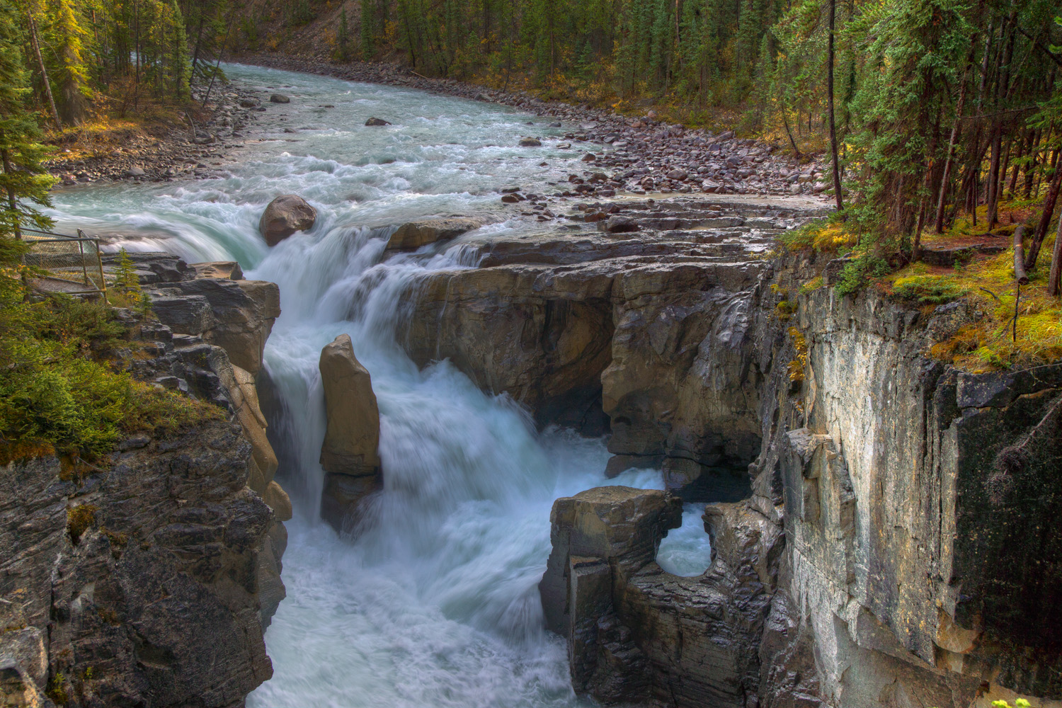 Sunwapta Falls , Jasper NP