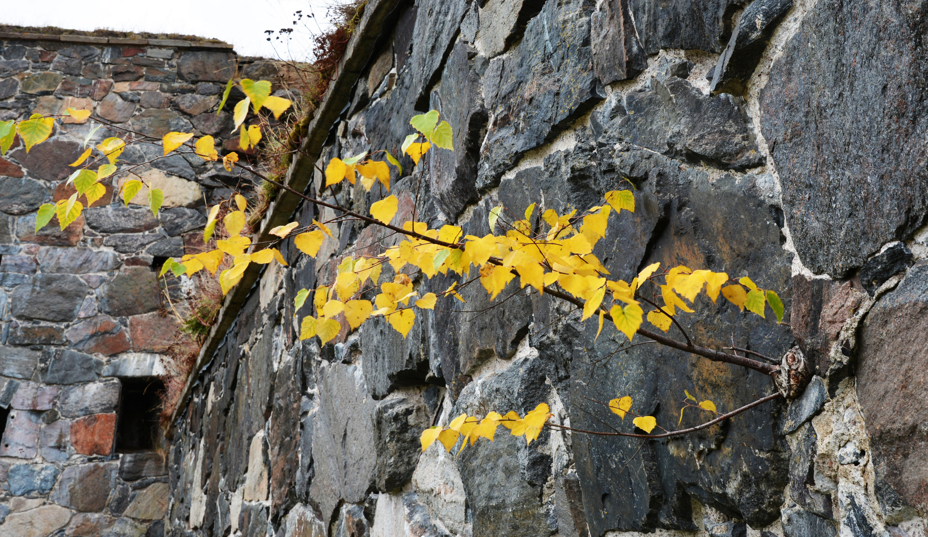 Suomenlinna, the barren growing base