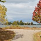 Suomenlinna, the island Lonna and color full trees