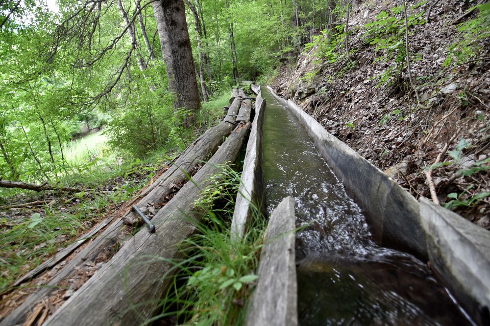 Suonenwanderung Beitra