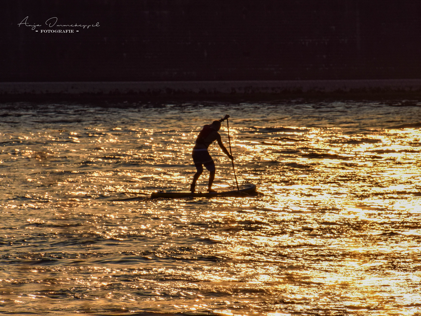 SUP auf dem Rhein