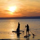 SUP in den Sonnenuntergang -> Podersdorf