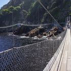 Supension Bridge - Storms River Mouth - Tsitsikamma NP