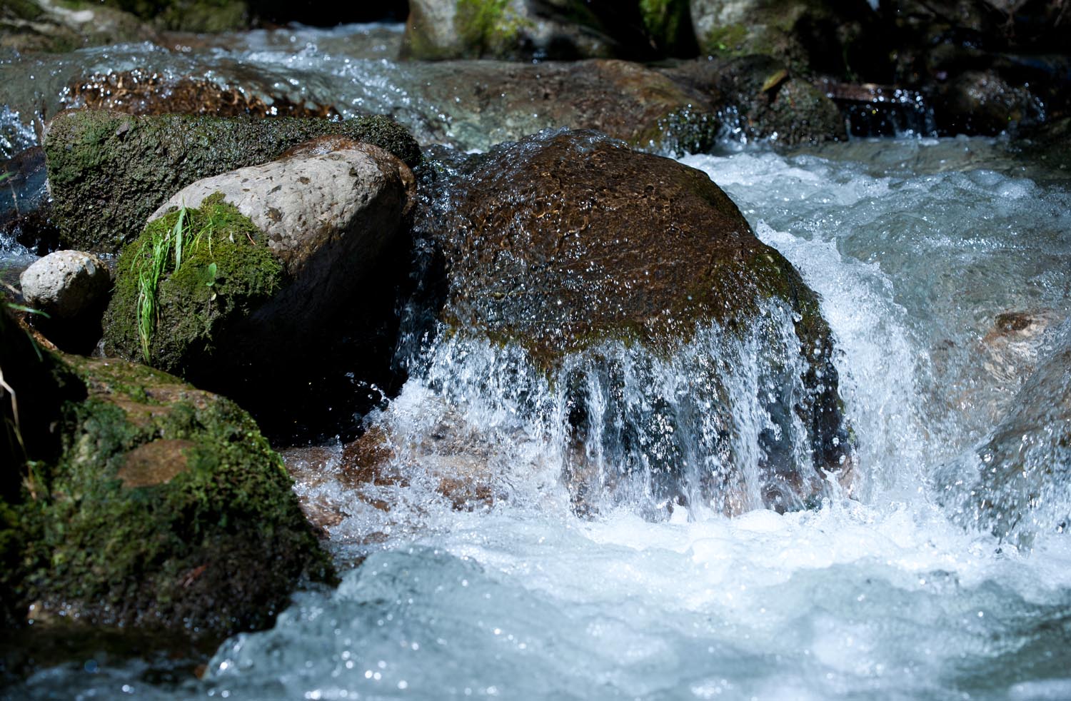 Super frisches klares Quellwasser