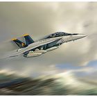 Super Hornet