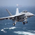 Super Hornet VFA-22 Fighting Redcocks