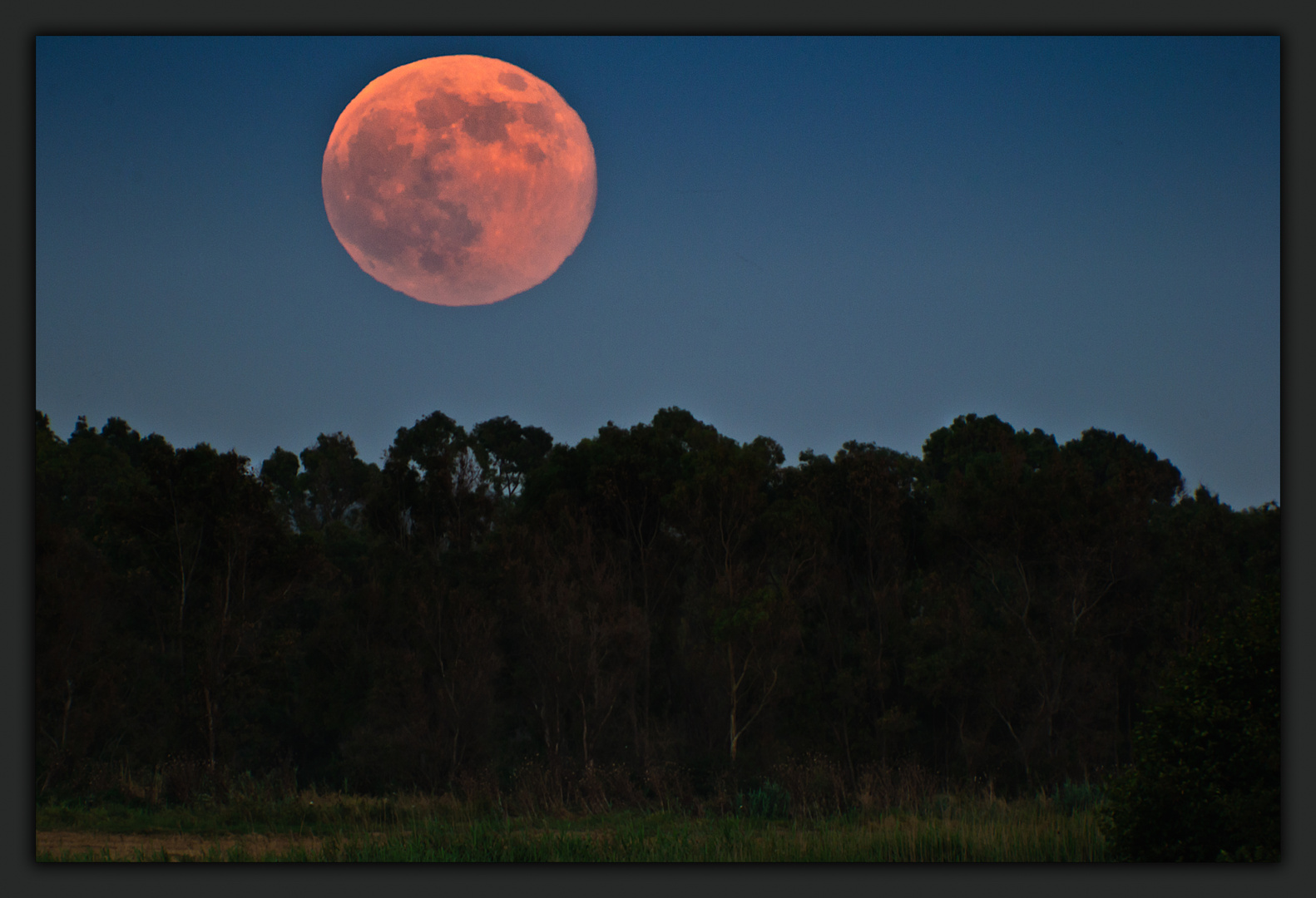 Super luna bis