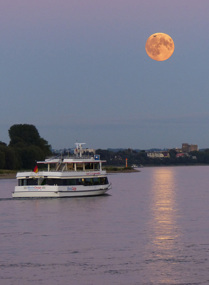 Super-luna in Köln