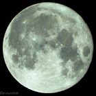 Super Moon – November 14/15, 2016 1:30 a.m / Austria