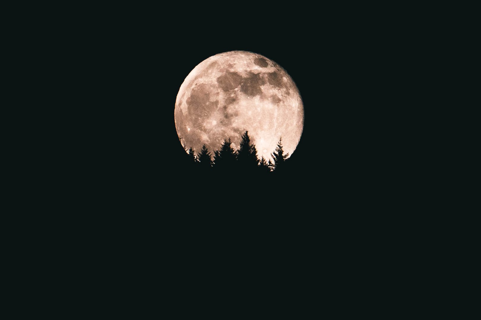 Super Pink Moon