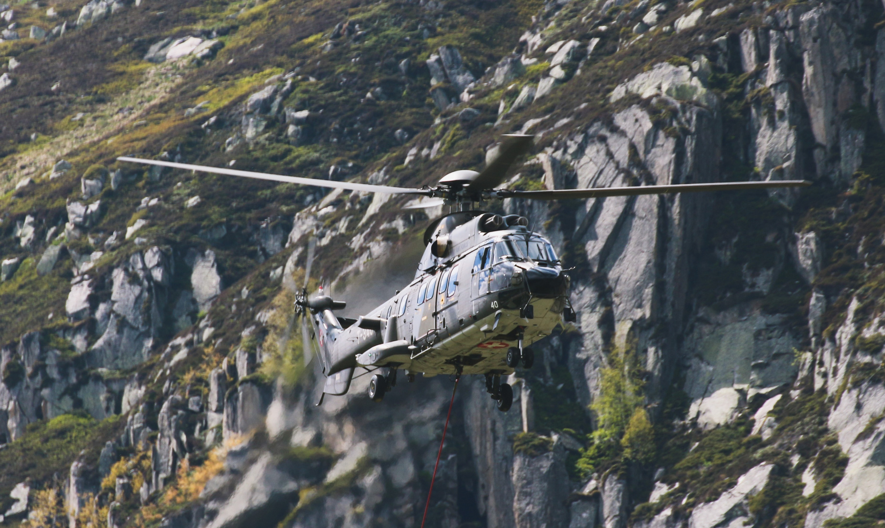 Super Puma beim Holzrücken