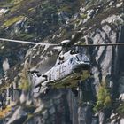 Super Puma beim Holzrücken