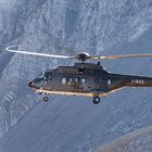 Super Puma der Swiss Army